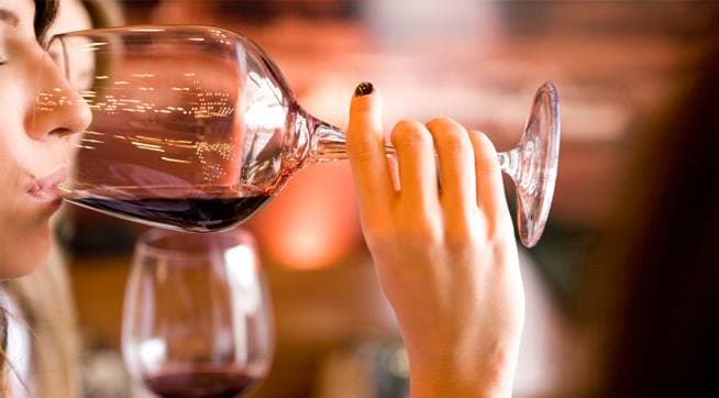 Cata y Tour de Vinos en Viña Ruda