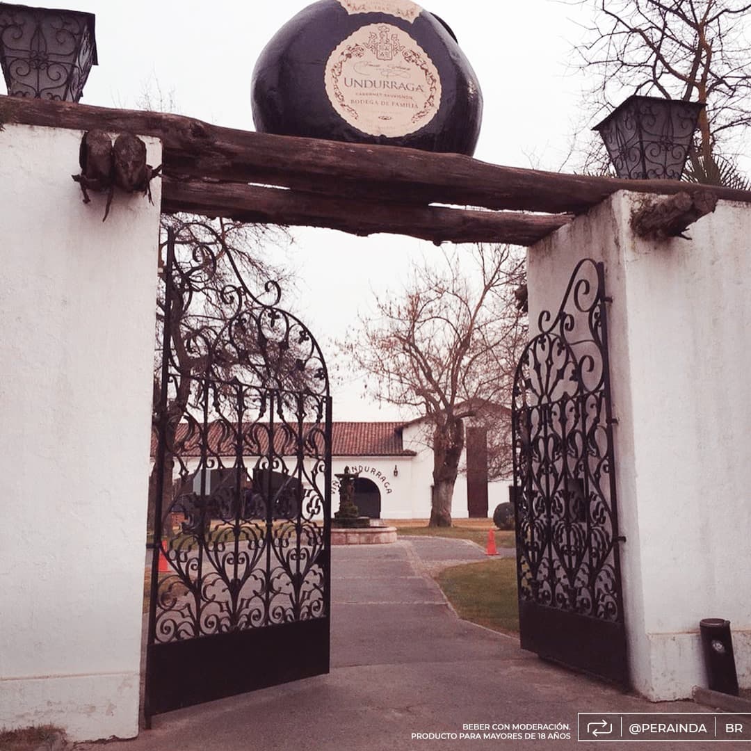 Viña Undurraga: A Historic Chilean Winery