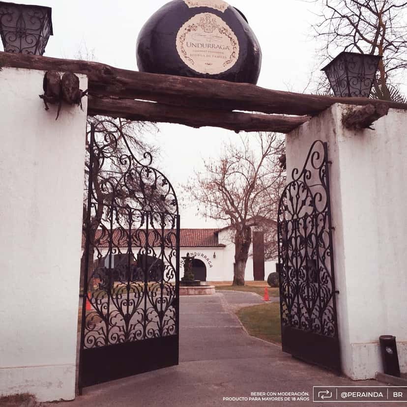 Viña Undurraga: A Historic Chilean Winery