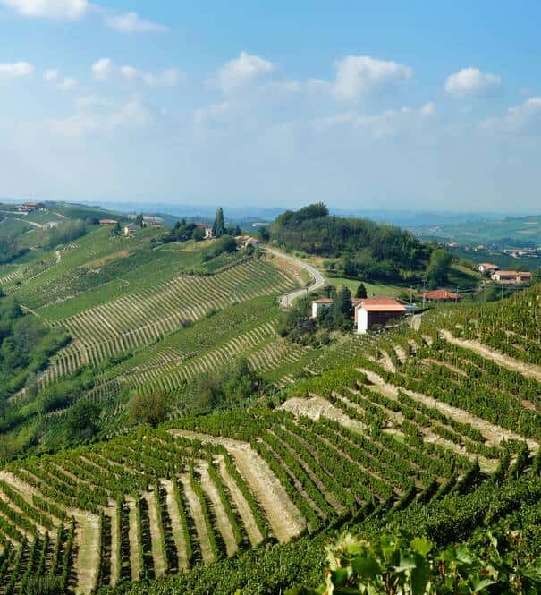 Barbaresco appellation