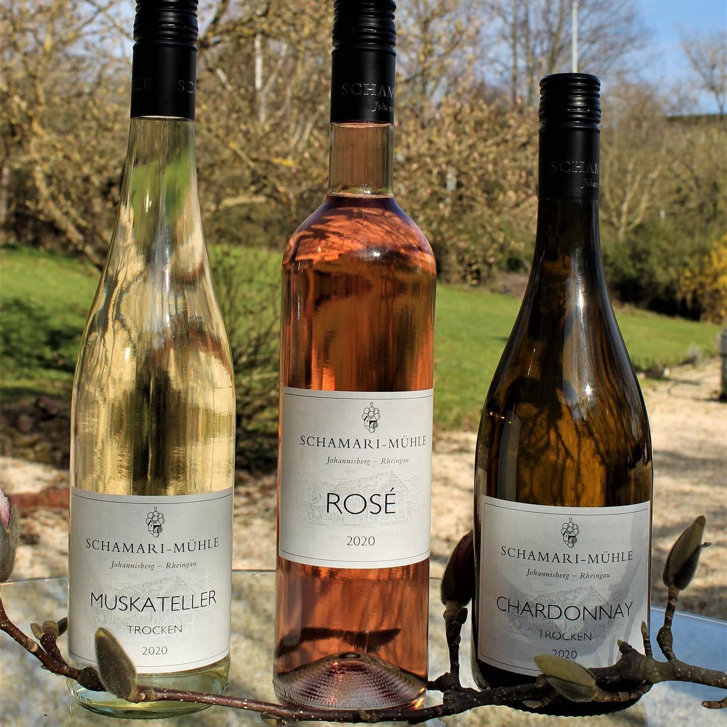 Cata de vinos y visita a la bodega Schamari Mühle