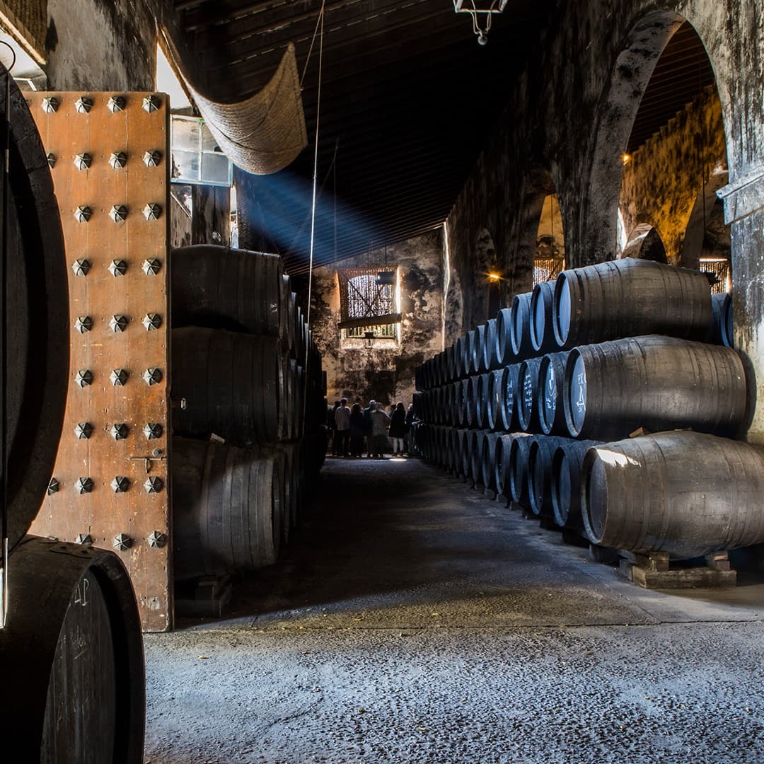 Bodega De Mora, Osborne Foto 2