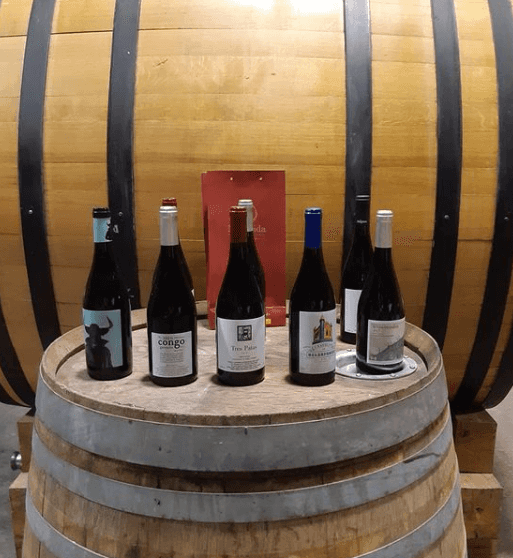 Bodegas Canopy: A Hidden Gem in Castilla-La Mancha