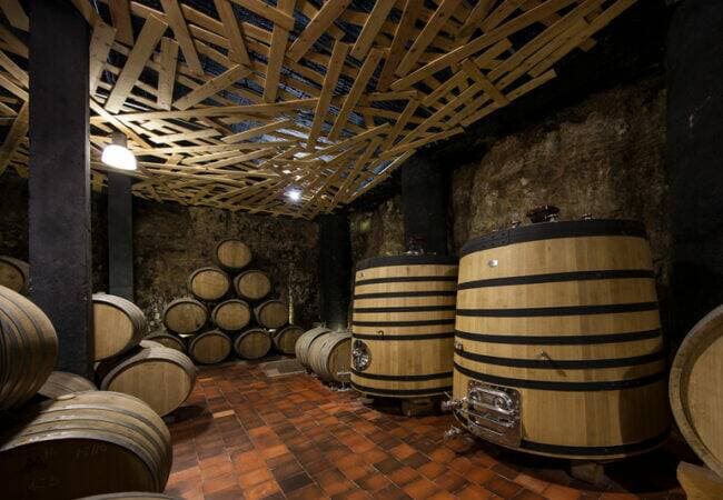 Bodegas Menade photo 4