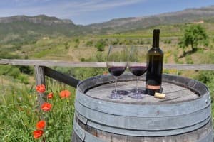 Faszinierende Weinprobe und Weingut-Abenteuer im Celler Devinssi in Priorat