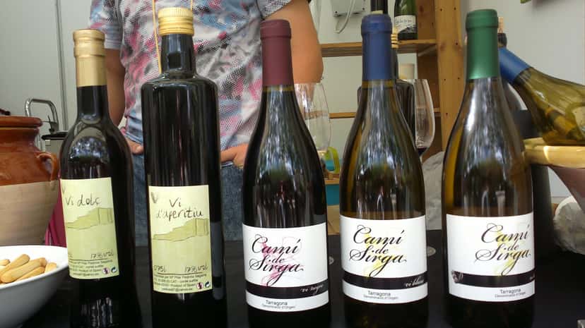 Cata de vinos populares en Celler Pedrola