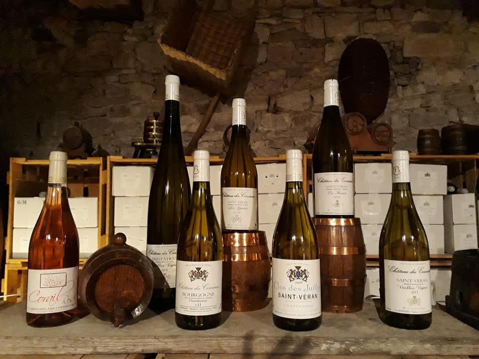 Wine Tasting and Tour at Château Des Correaux