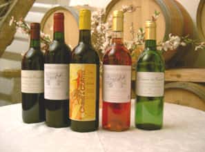 Cata de vinos populares en Cointes