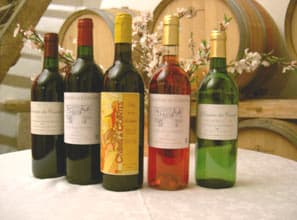 Cata de vinos populares en Cointes