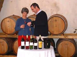 Cata de vinos premium en Cointes