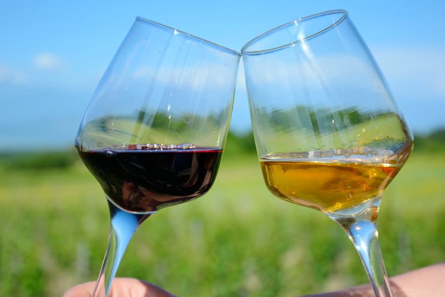 Verkostungserlebnisse bei Didgori Winemaking
