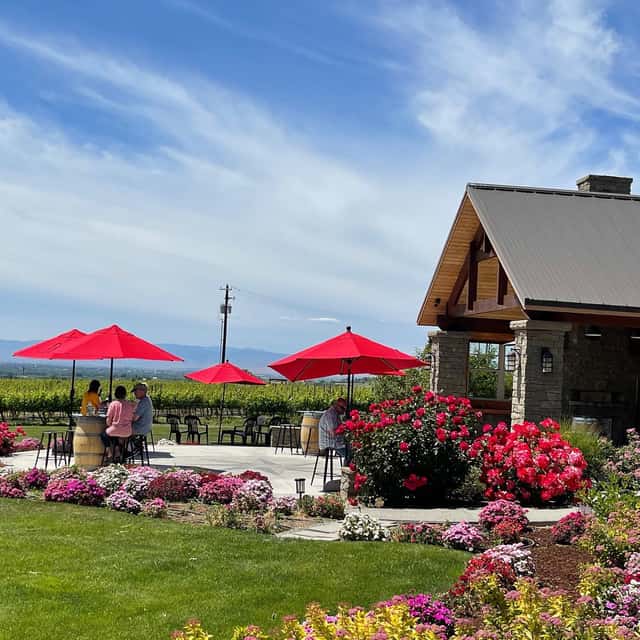 Dineen Vineyards