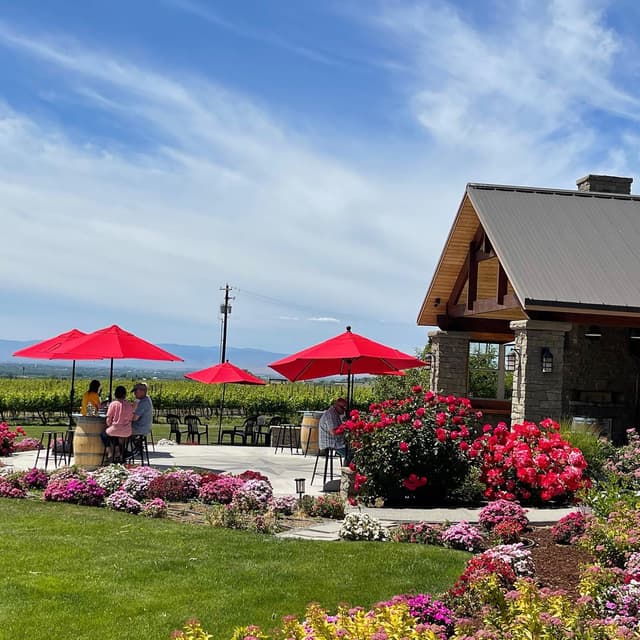 Dineen Vineyards