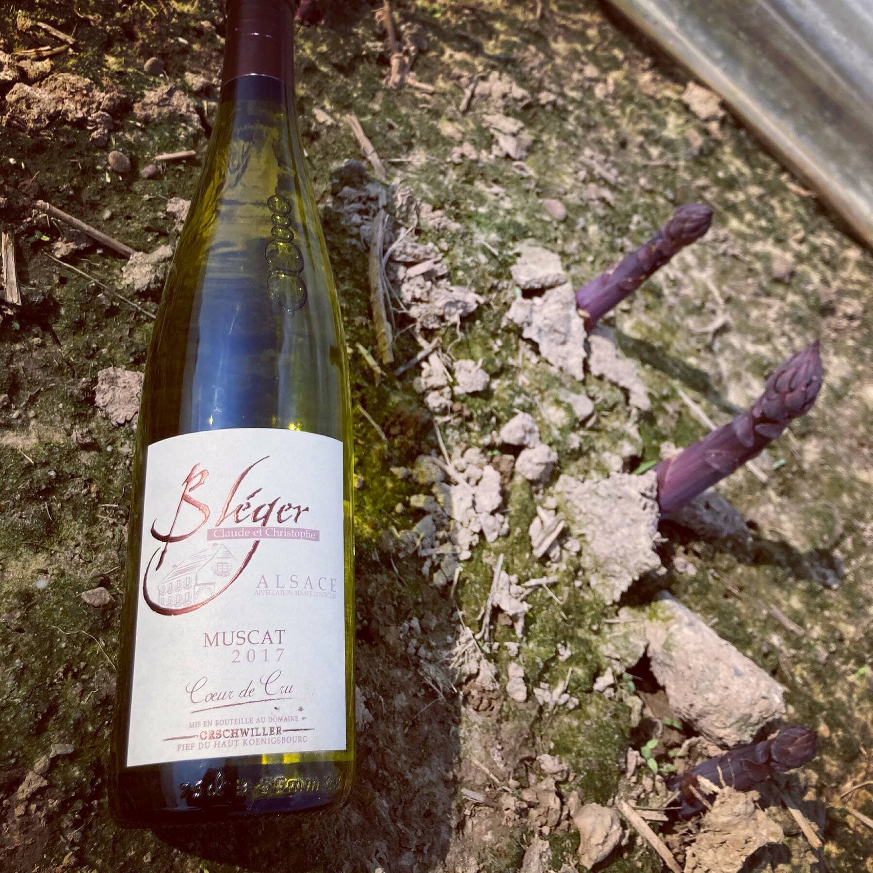 Domaine Bleger photo 3