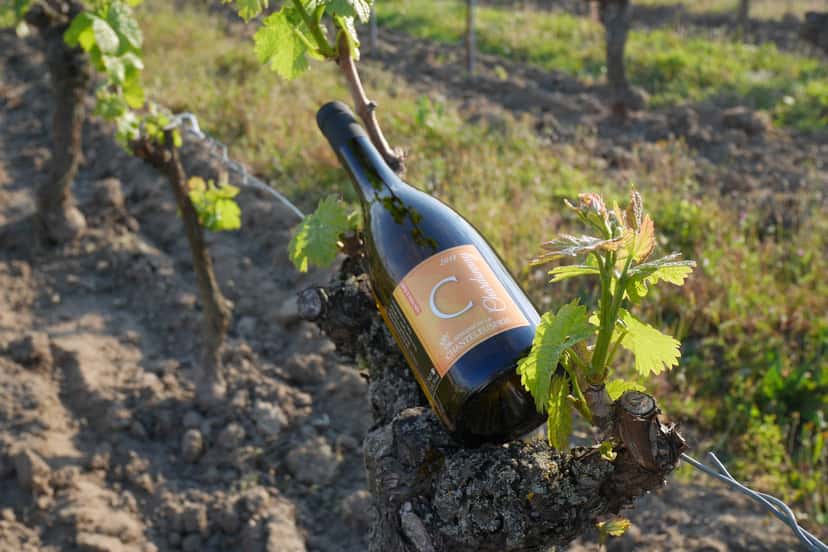 Domaine De La Chanteleuserie