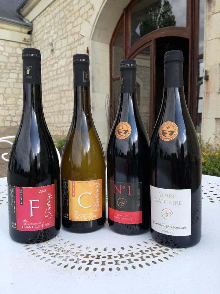 Loire Valley Vineyard Tour & Premium Wine Tasting