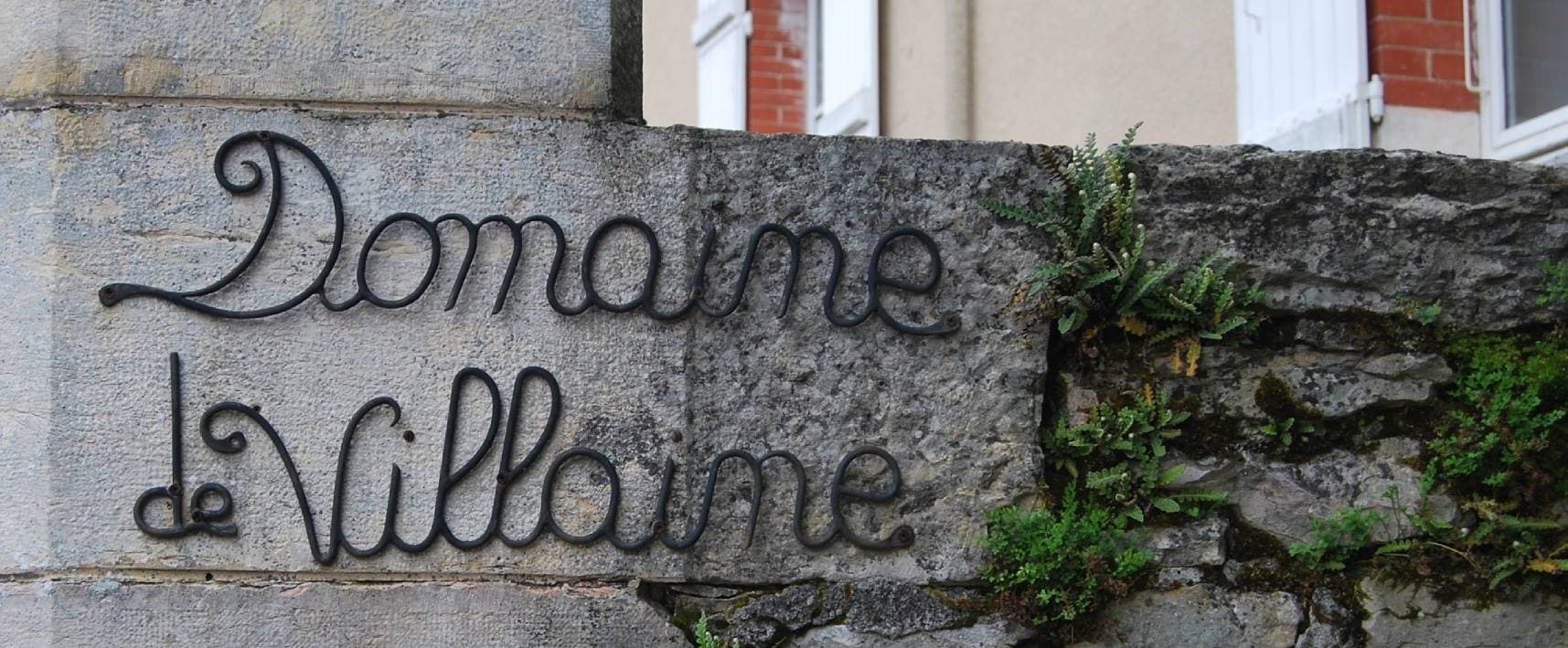 Domaine De Villaine