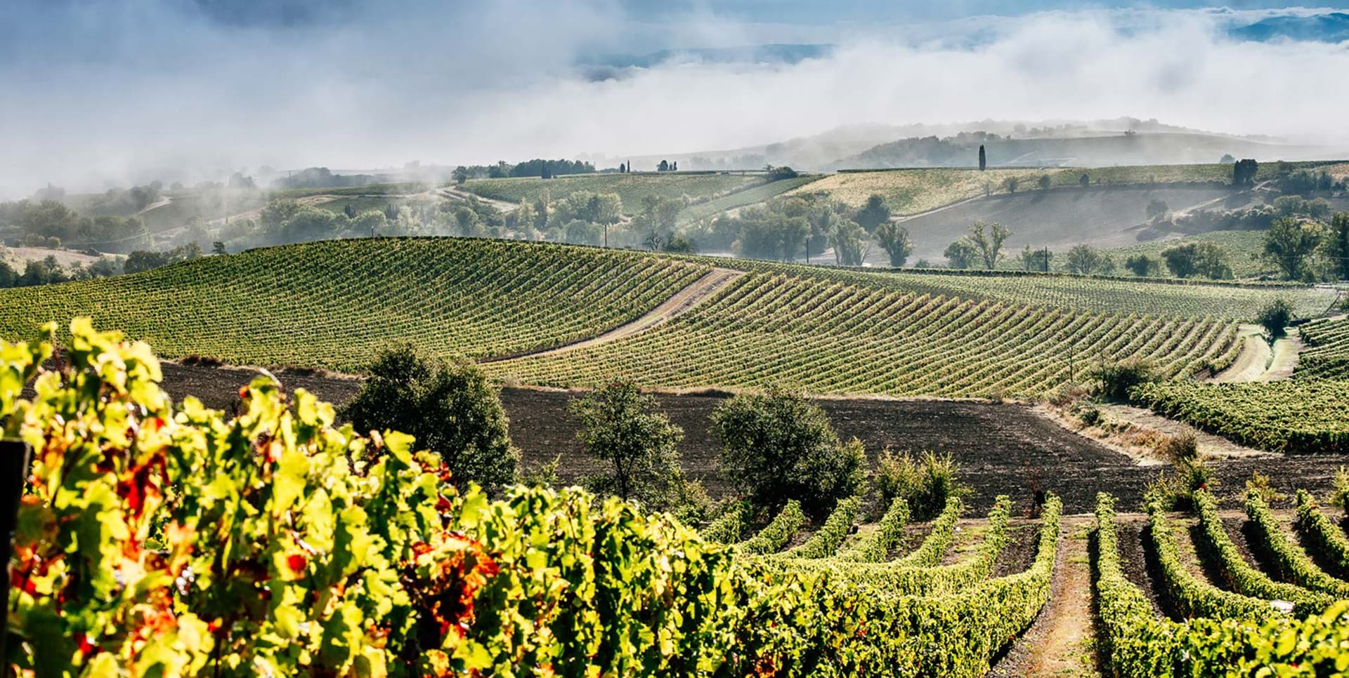 Domaine Girard