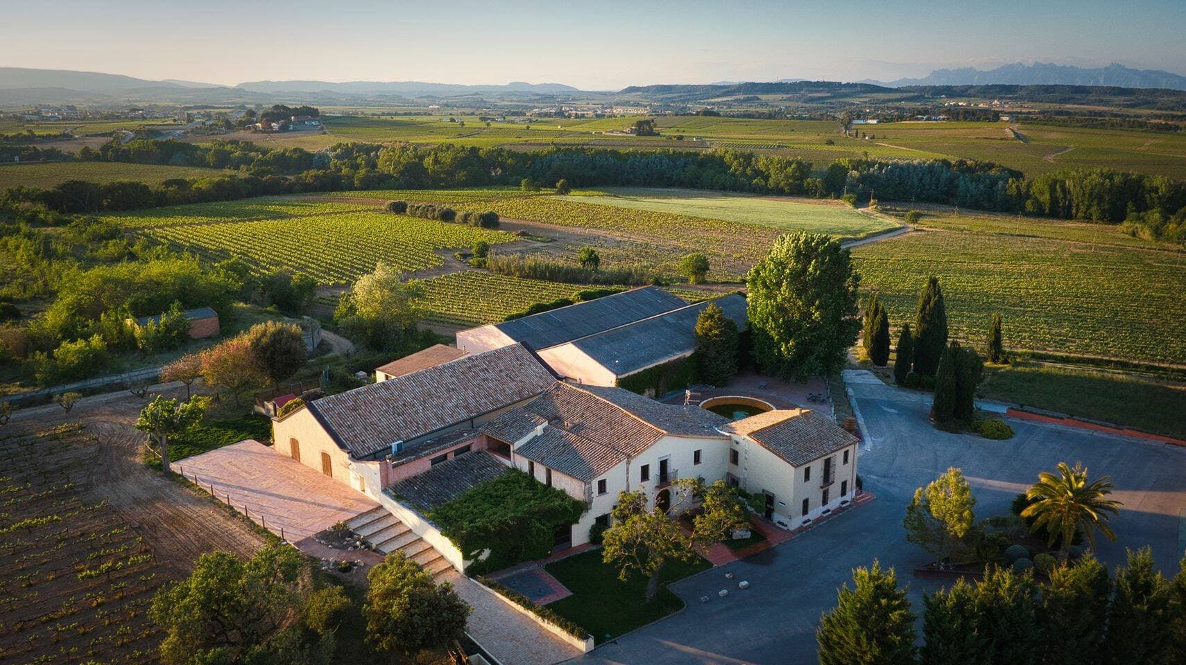 Giró Ribot Winery photo 4