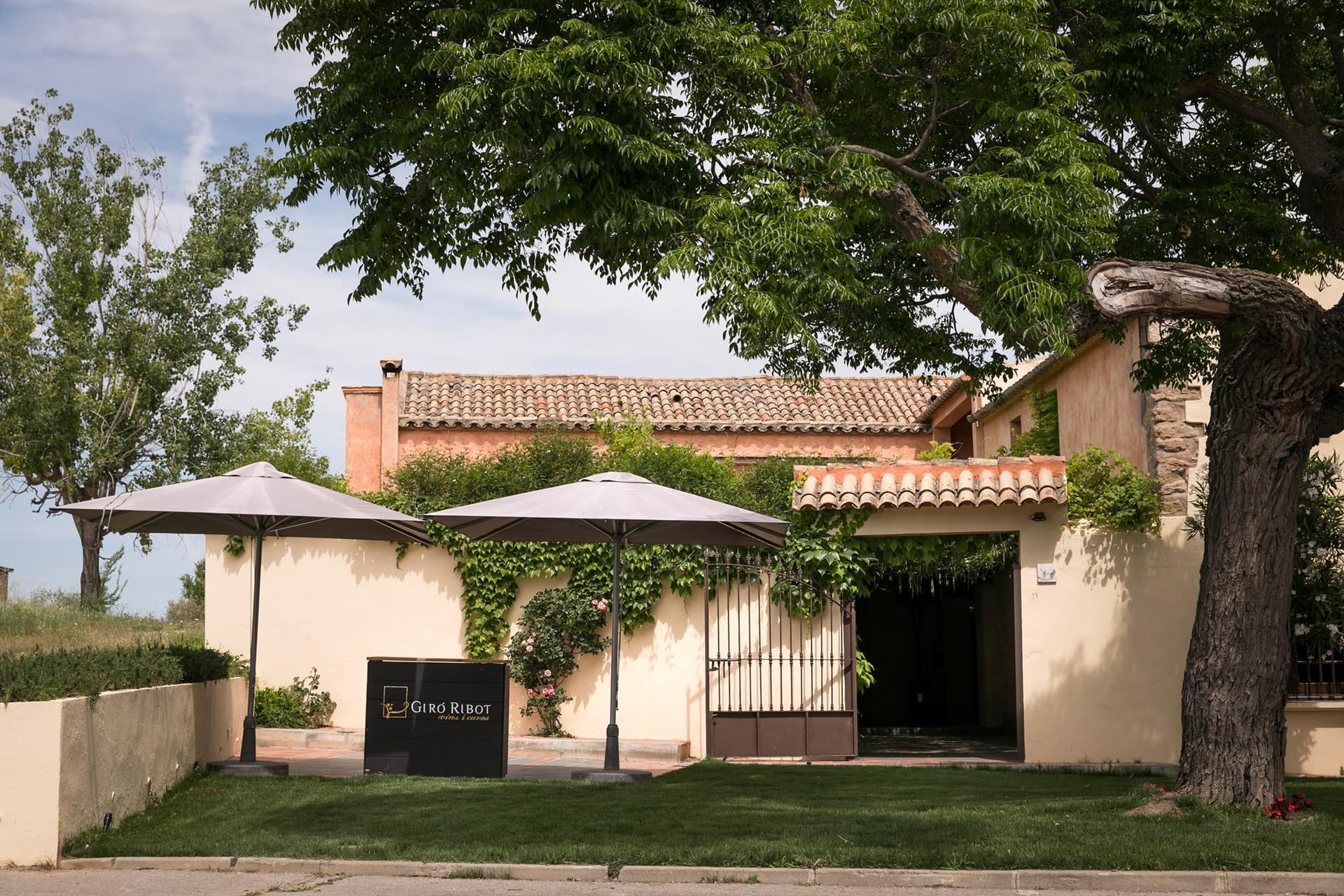 Giró Ribot Winery photo 1