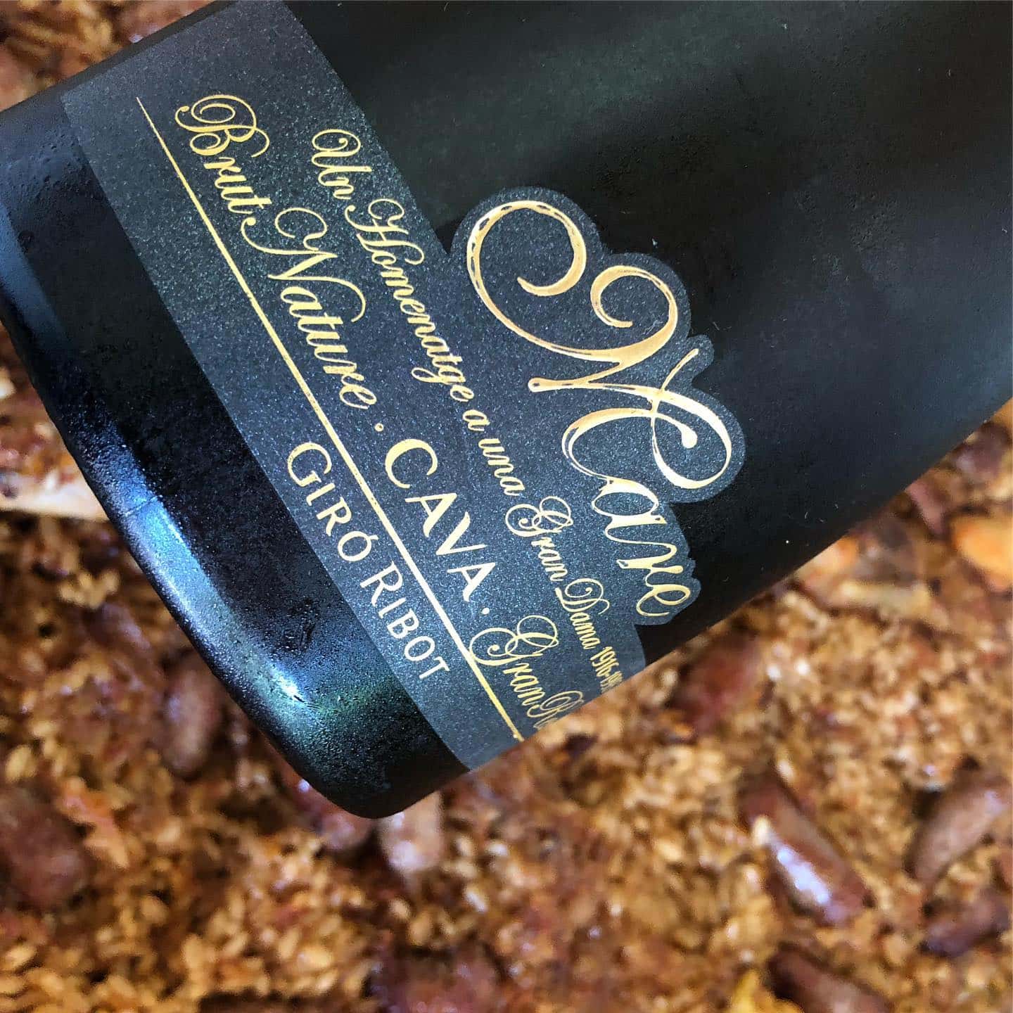 Catalonia Wine & Cava Vineyard Journey