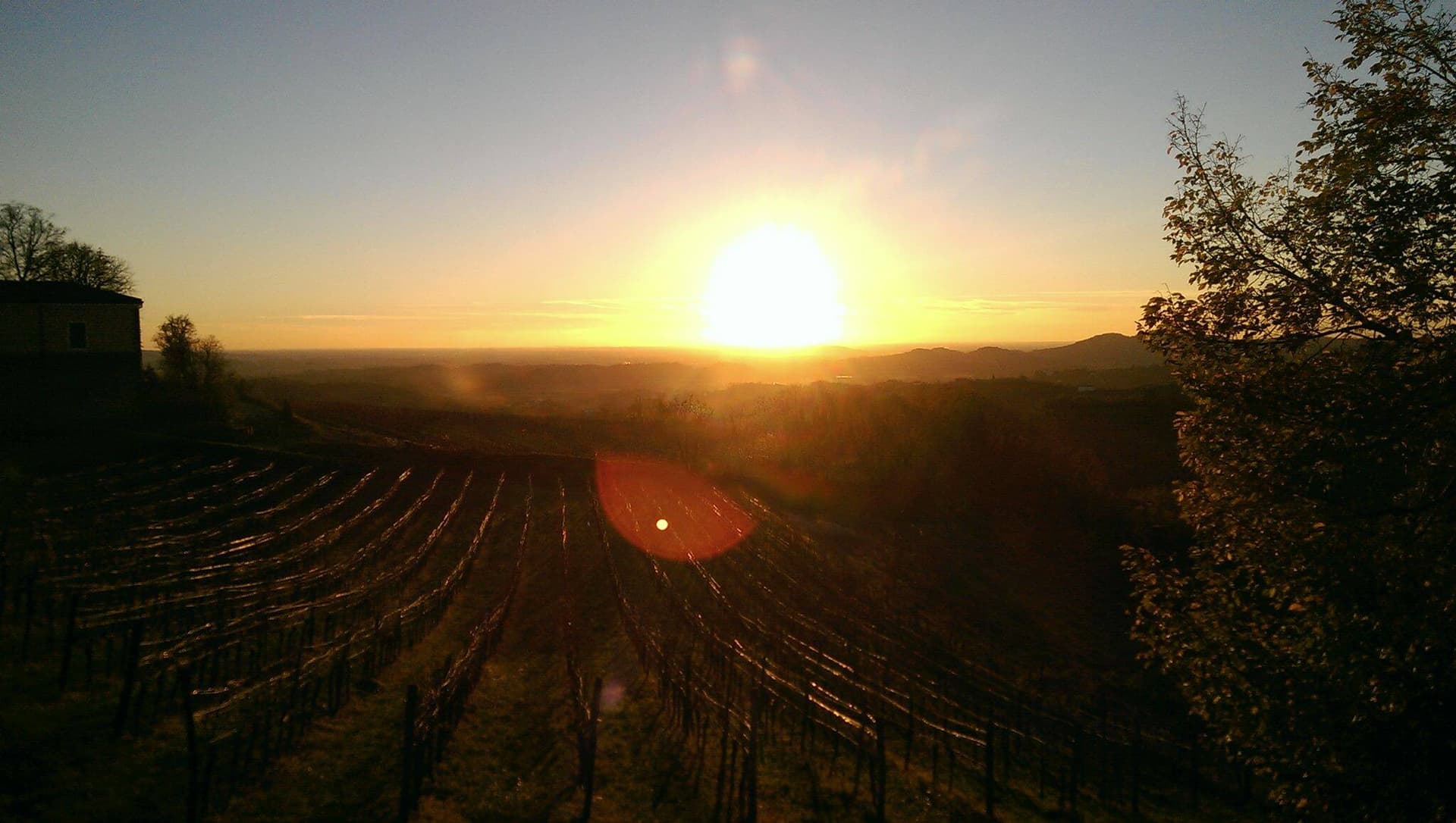Humar Vini foto 4