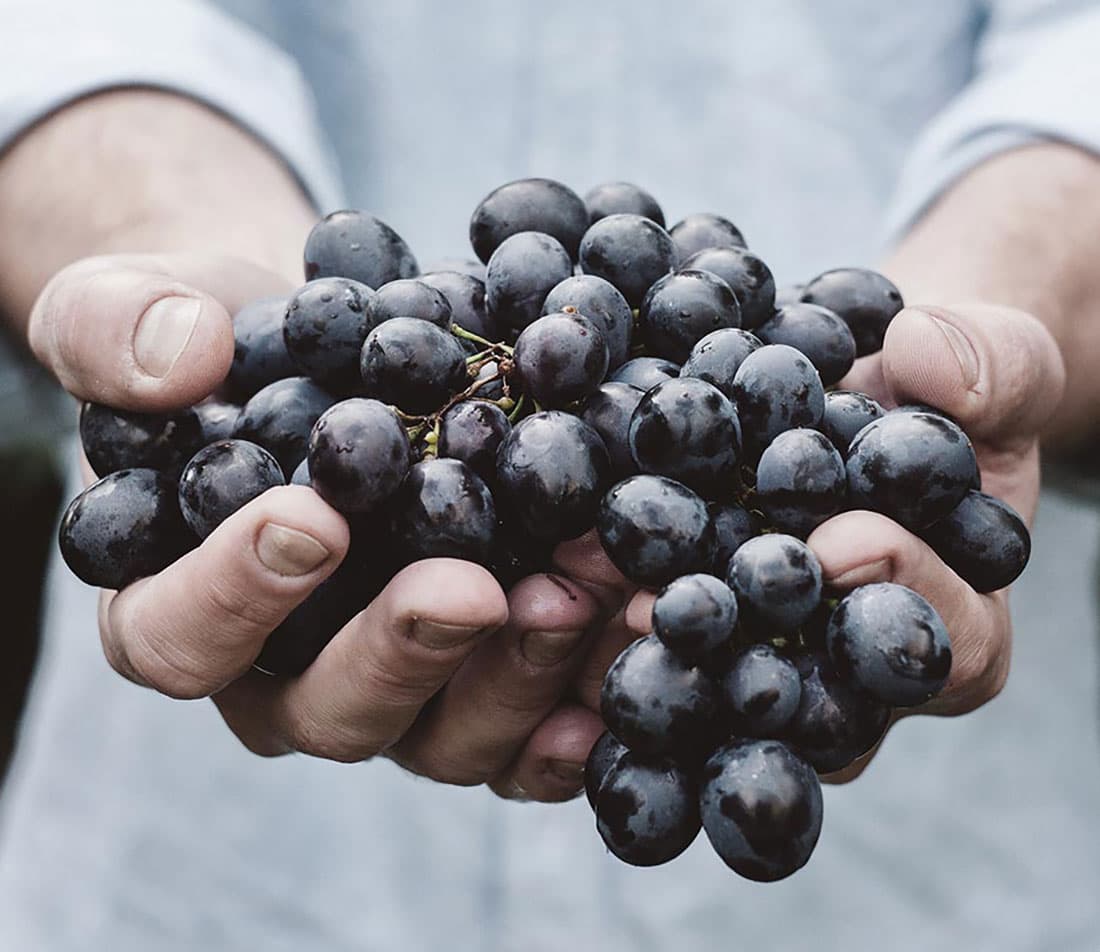 Cata de vinos en Le Due Torri