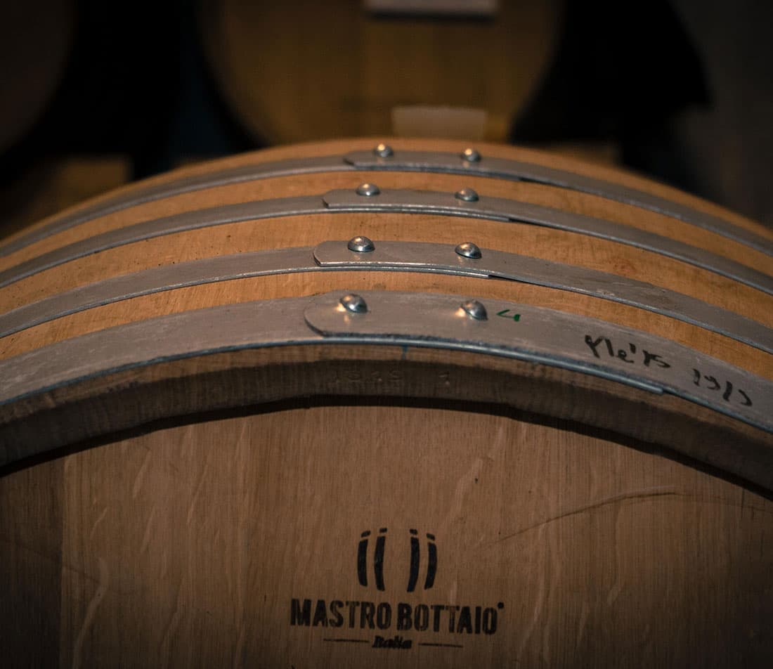 Cata de vinos y visita guiada en Le Due Torri