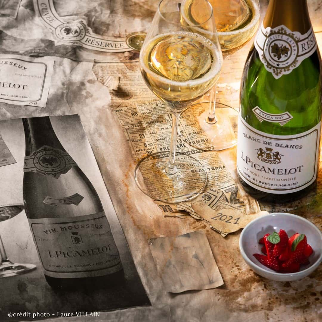Burgundy Wine Immersion at Maison Louis Picamelot