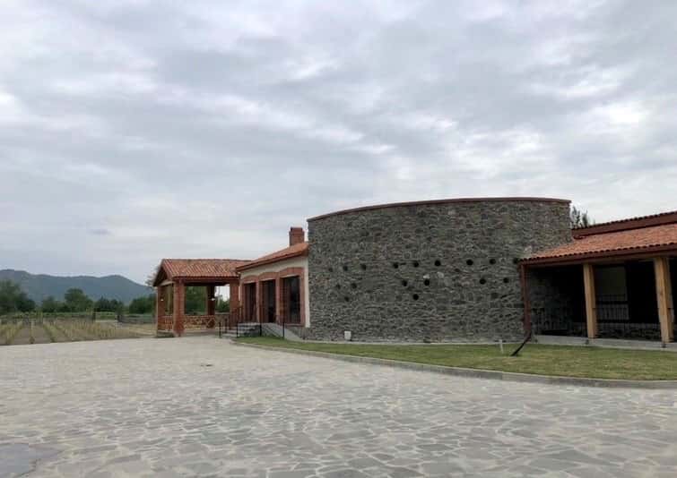 Premium-Weinprobe und Tour bei Mikheili's Marani