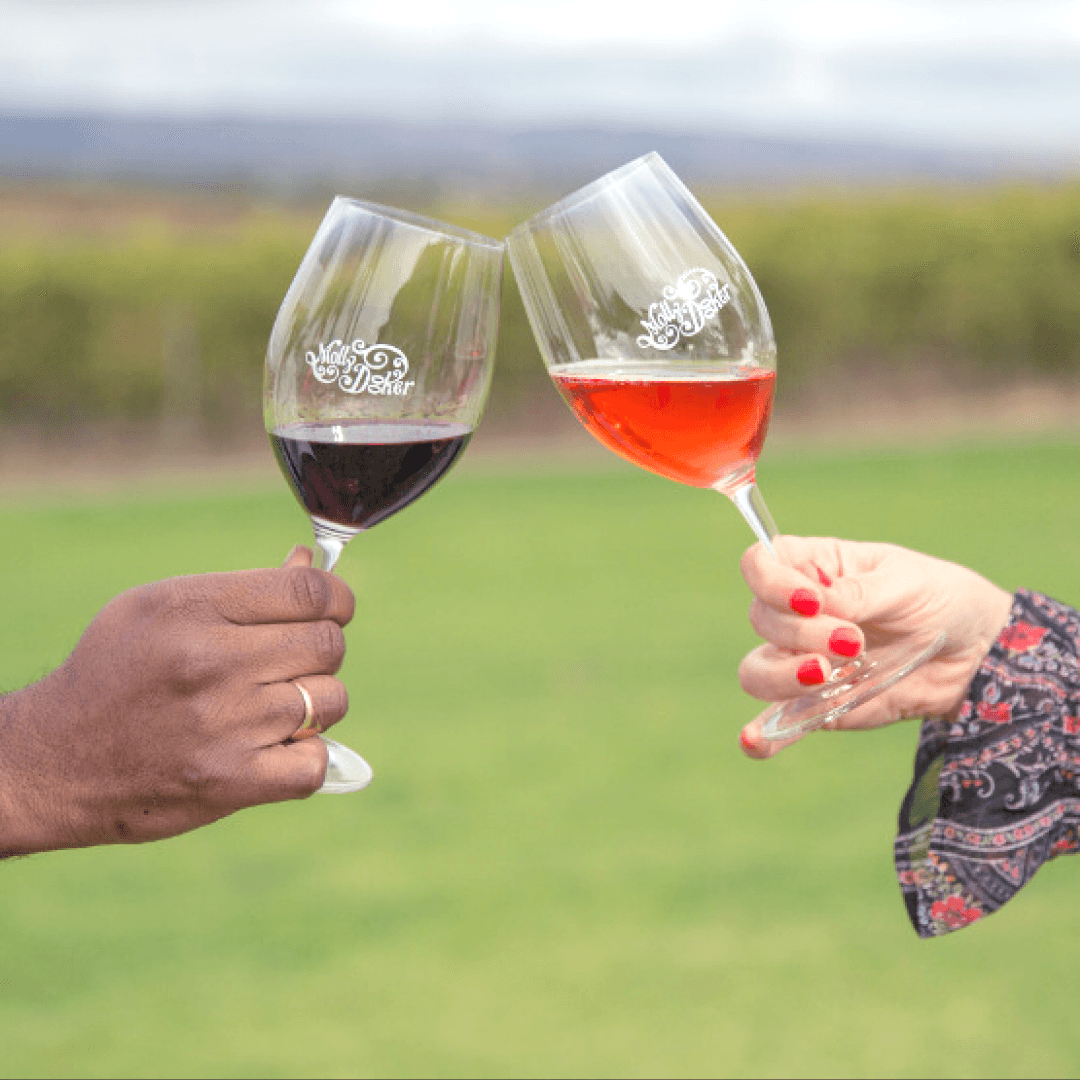 Degustação de vinhos populares na Mollydooker Wines