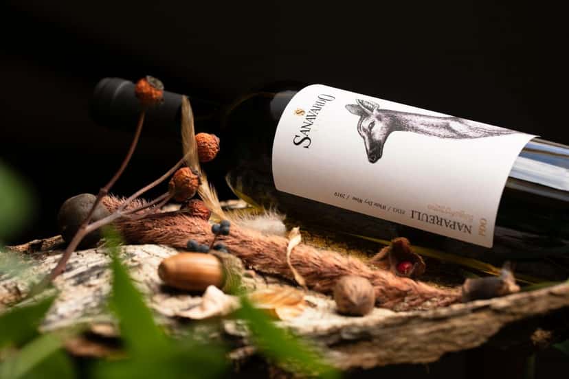 Kakheti’s Saperavi & Qvevri Wine Journey at Sanavardo