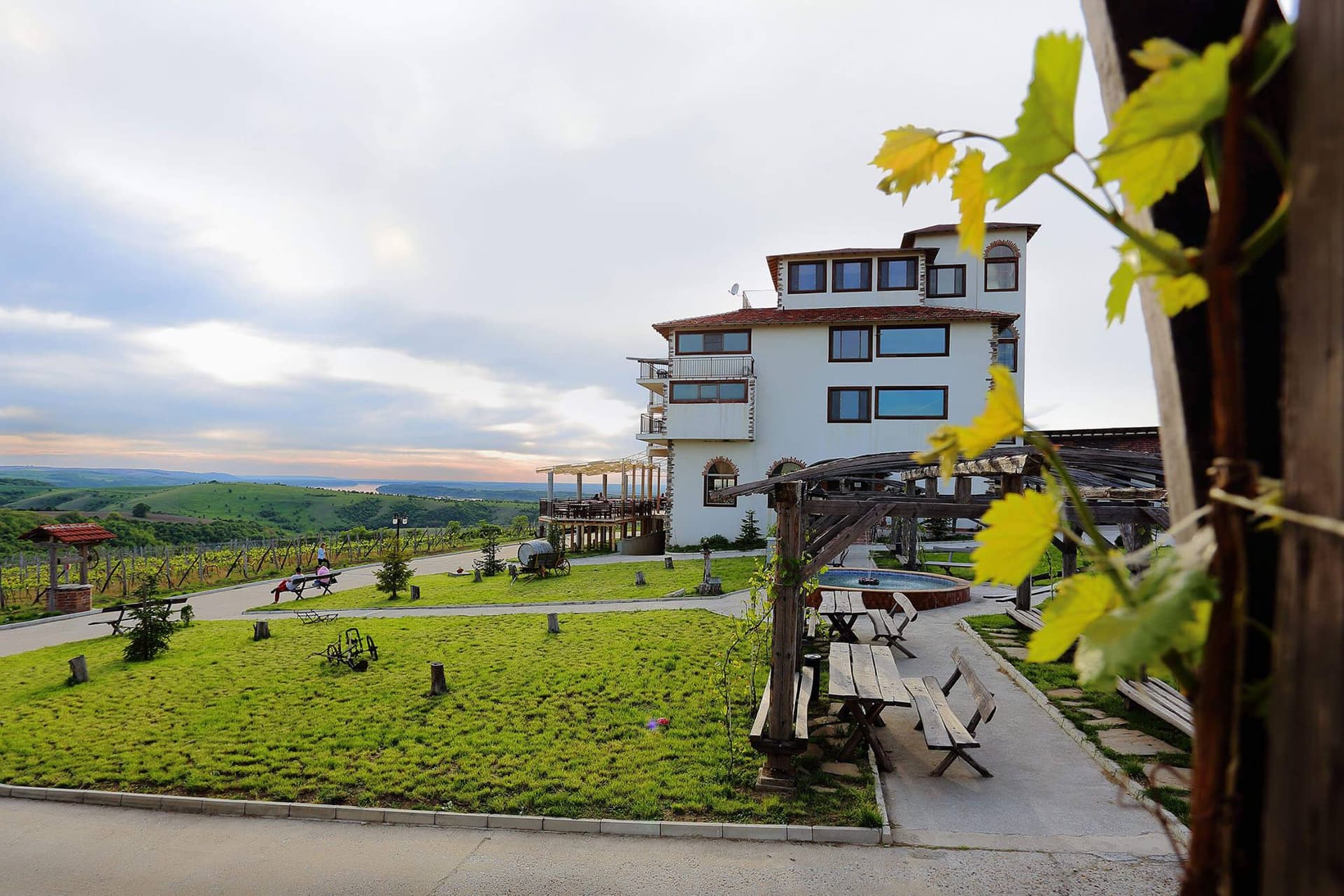 Seven Generations Winery