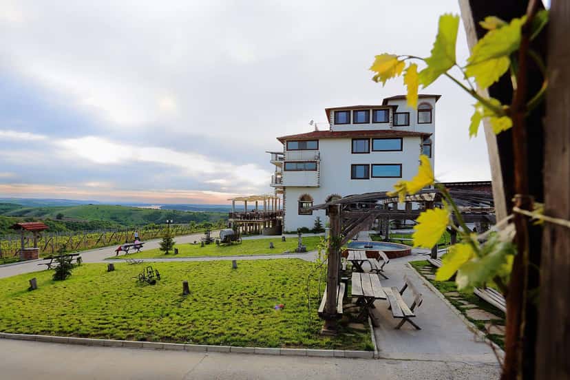 Seven Generations Winery