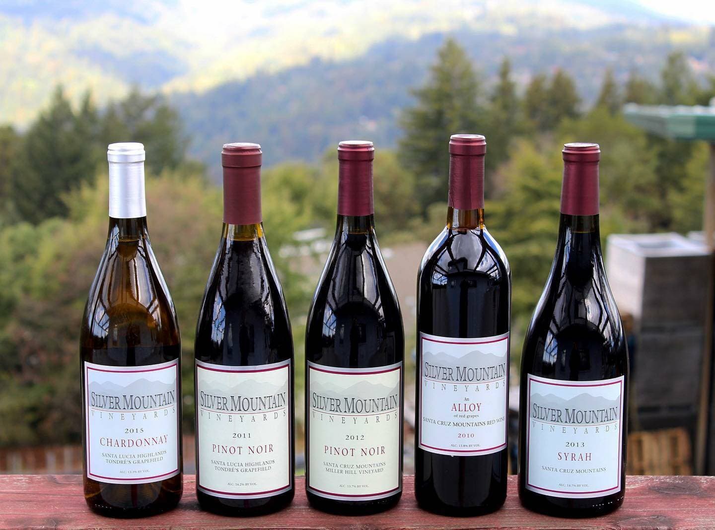 Silver Mountain Vineyards foto 4