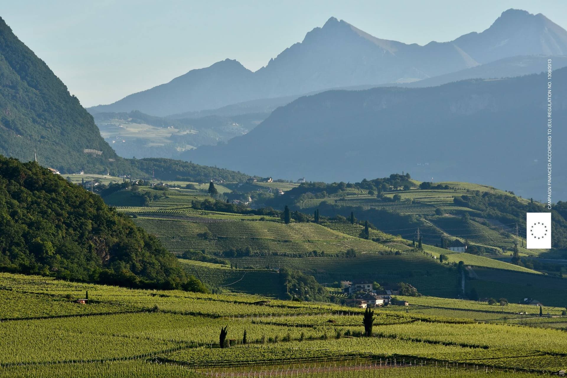 Tenuta Alois Lageder foto 4