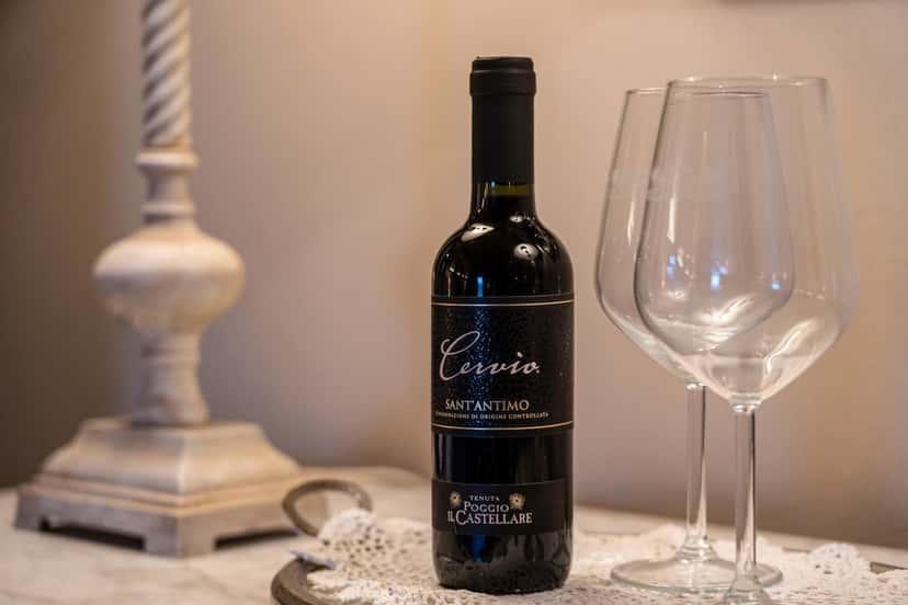 Wine Tasting and Tour at Tenuta Poggio Il Castellare
