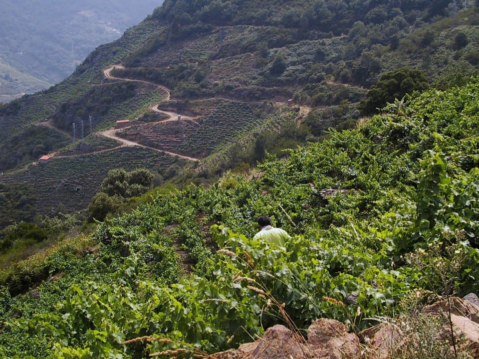 Val Da Lenda Winery