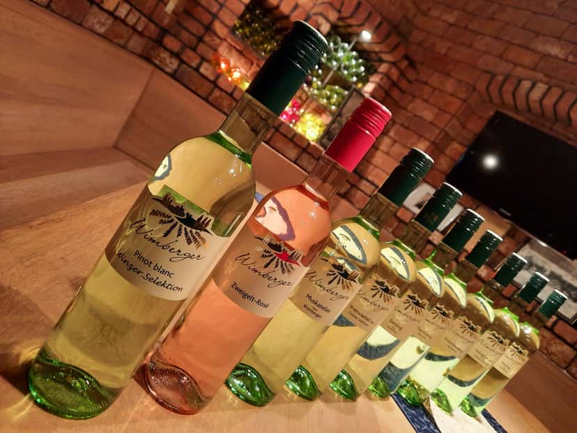 Degustazione di vini e tour presso la cantina Wimberger
