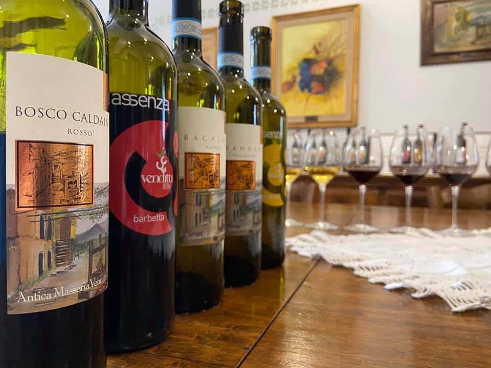 Degustación de vinos premium y tour en Antica Masseria Venditti