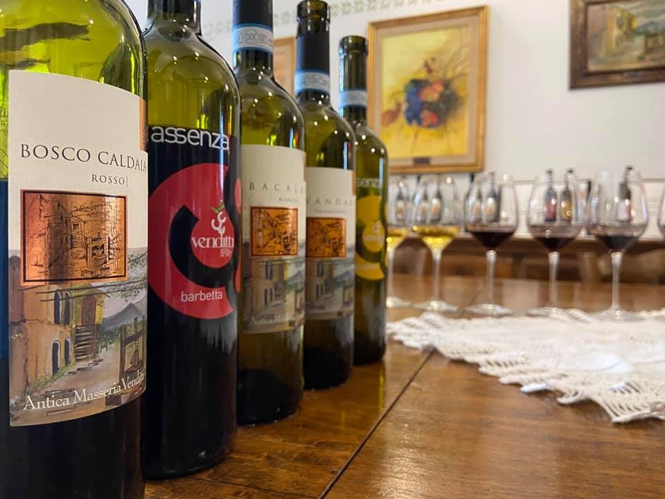 Degustación de vinos premium y tour en Antica Masseria Venditti