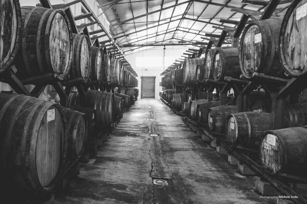 Premium-Verkostung in der Azienda Vinicola Vernaccia F.Lli Serra