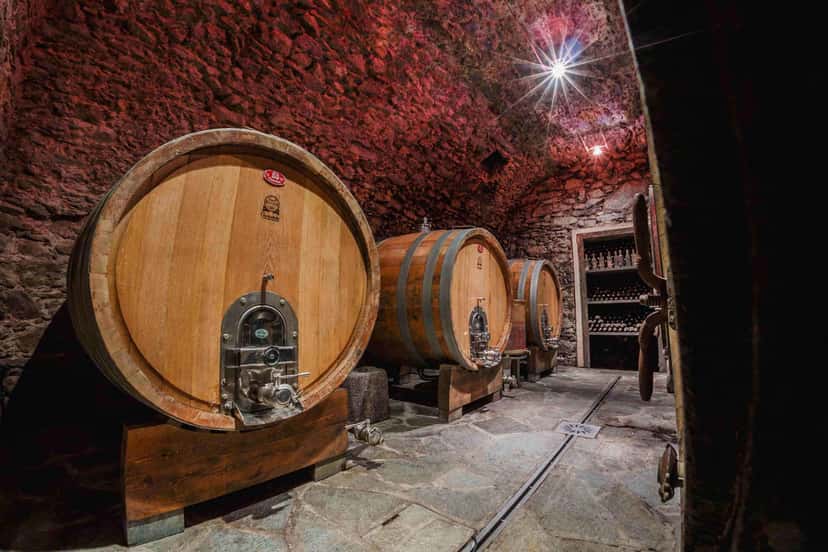 Balgera Vini