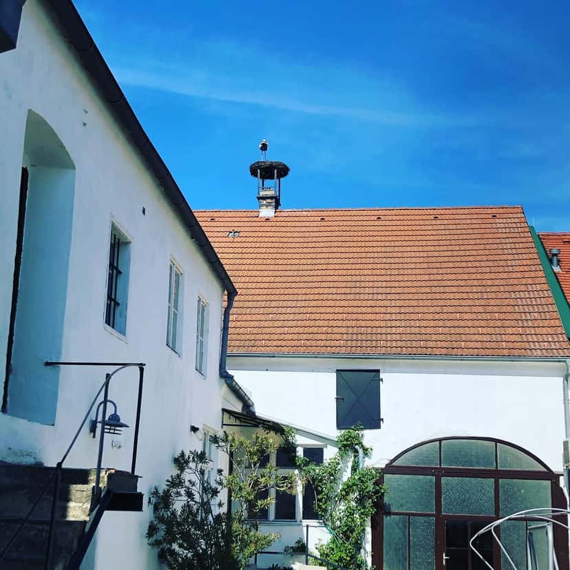 Bio-Demeter Weingut Birgit Braunstein Kg