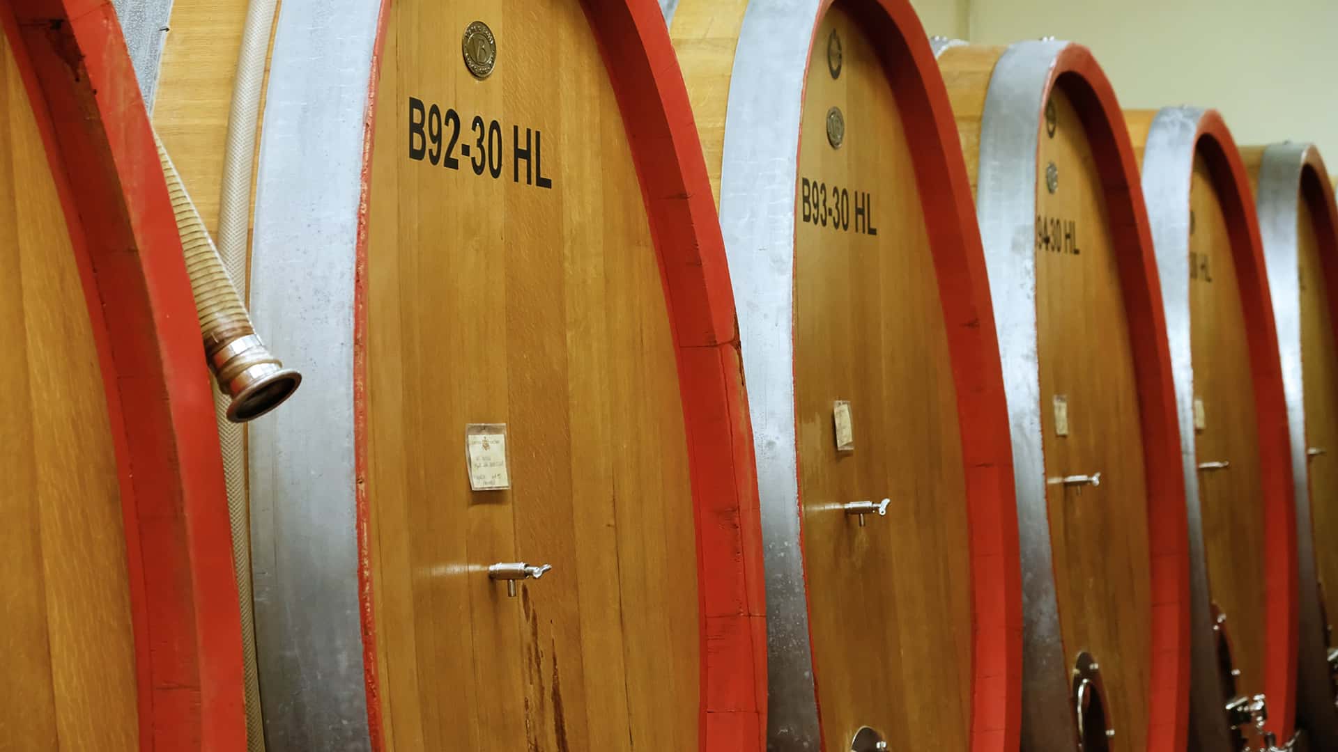 Scopri l'Identità della Cantina Toblino