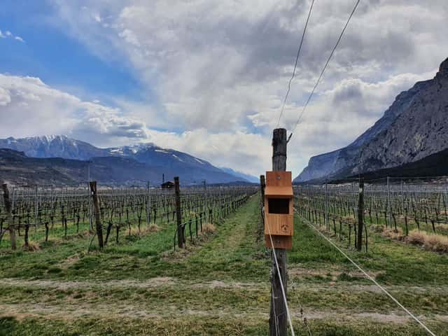 Cantina Toblino
