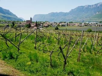 Glassierhof Winery