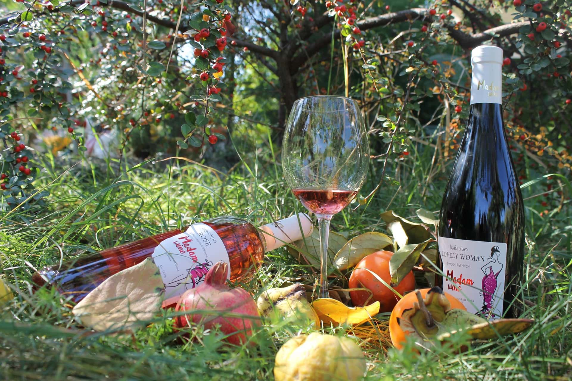 Degustazione di vini e tour presso Madam Wine