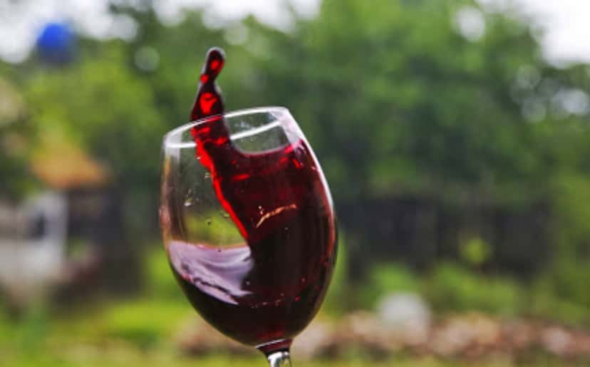 Samegrelo Wine & Qvevri Tasting at Obene
