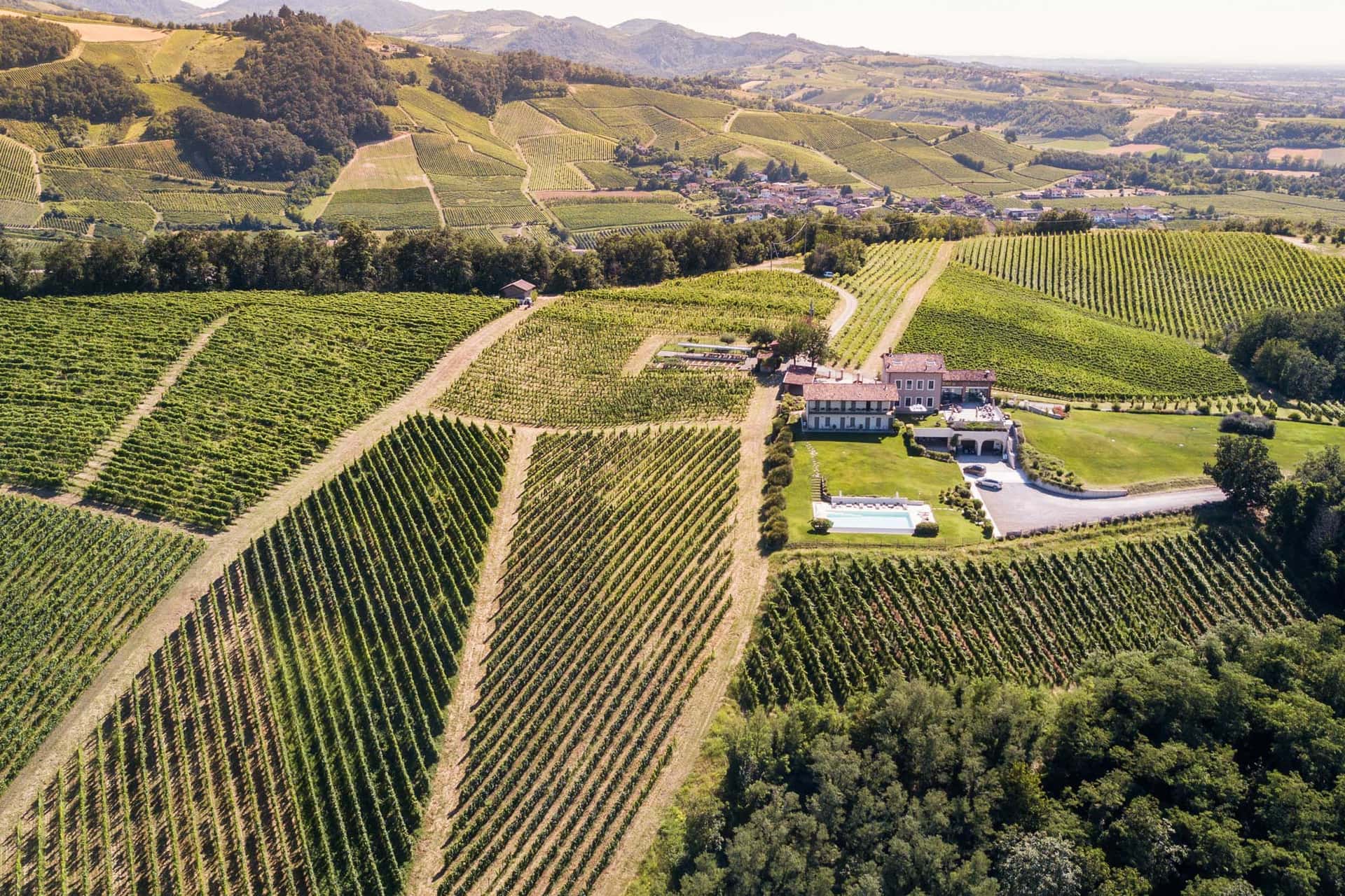 Degustação de vinhos premium e tour no Prime Alture Winery &…